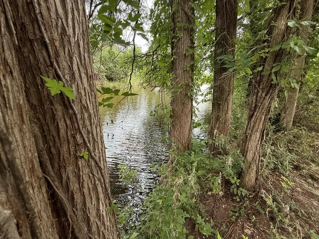 a view of lake from a yard