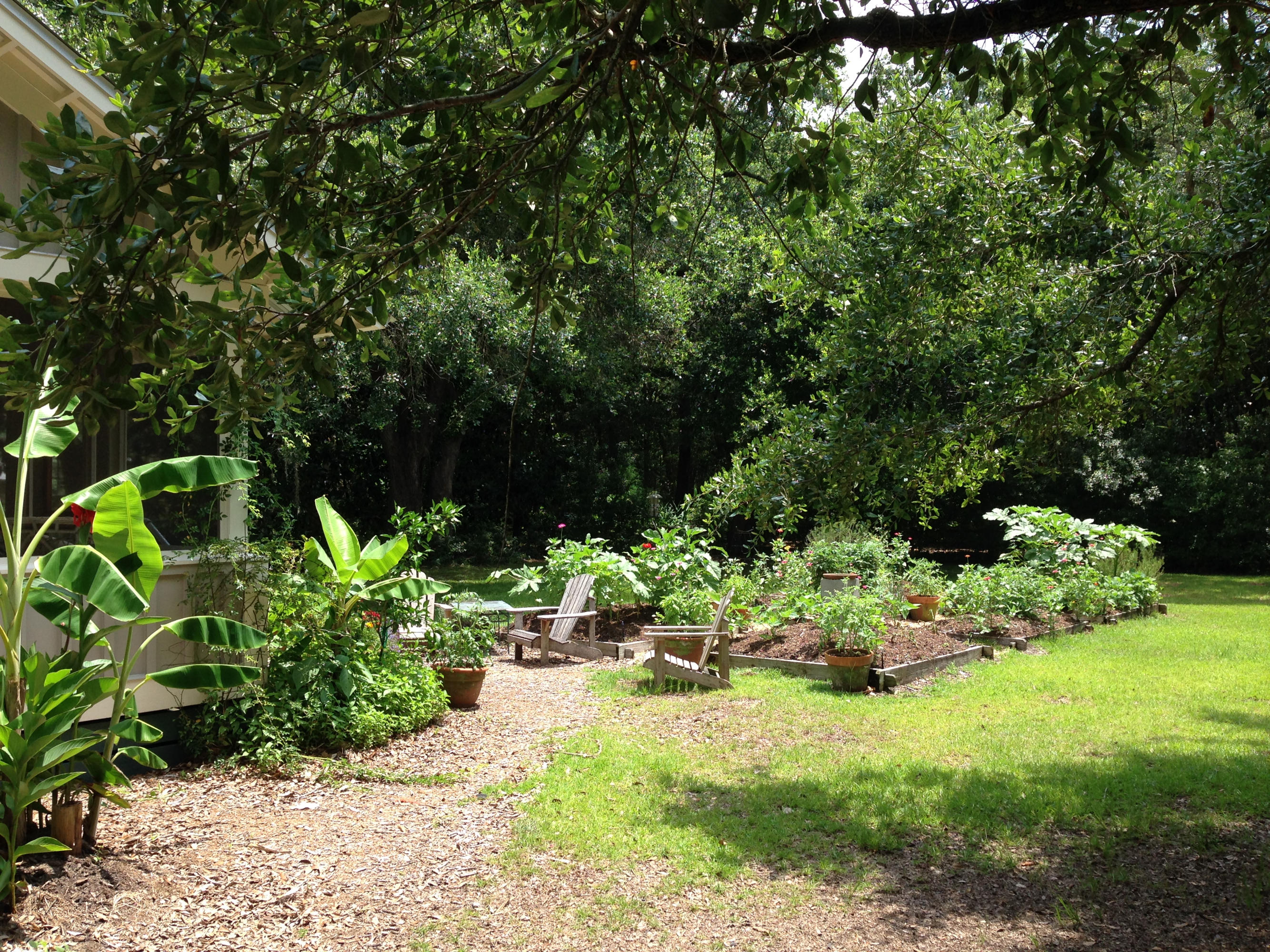 119 School Road Santa Rosa Beach, FL 32459 - Photo 11 of 22 Garden and Grounds
