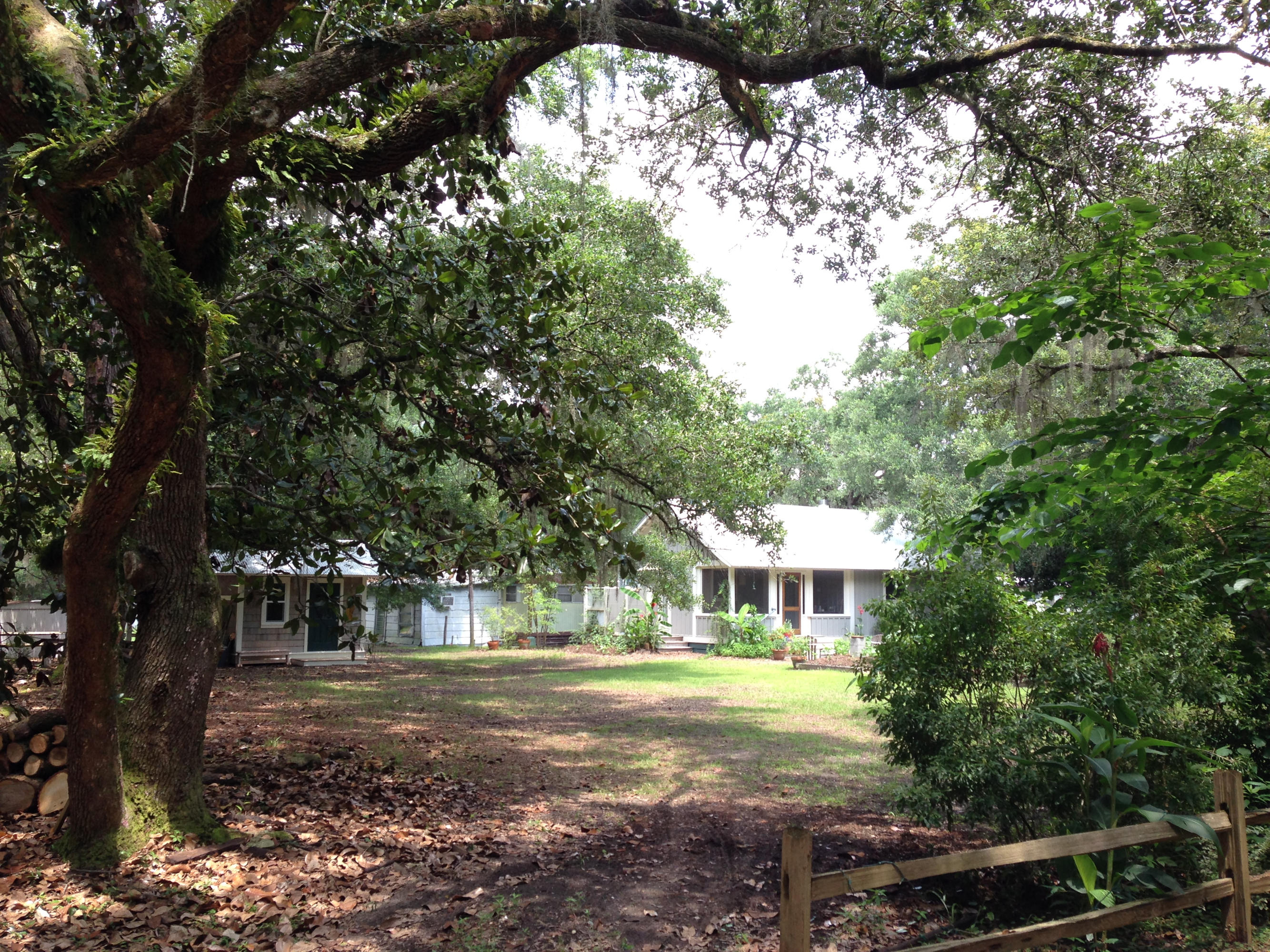 119 School Road Santa Rosa Beach, FL 32459 - Photo 17 of 22 View from vacant lot