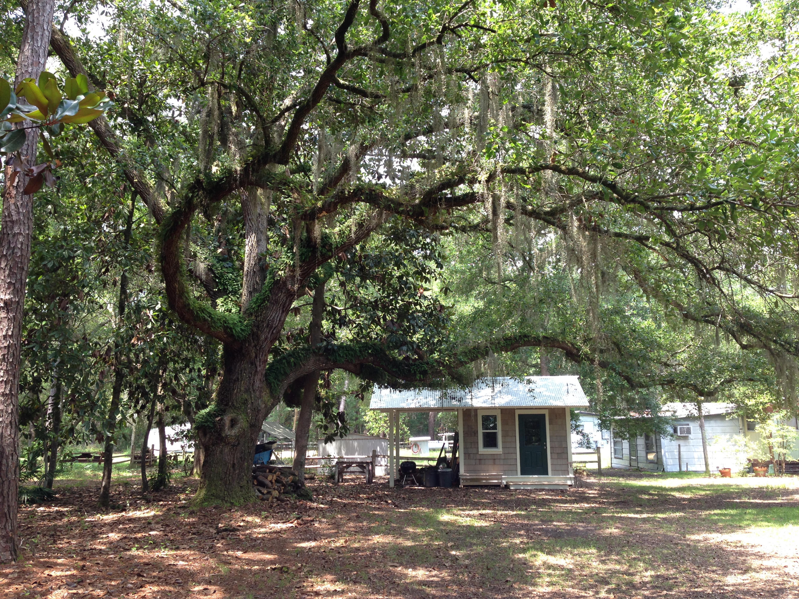 119 School Road Santa Rosa Beach, FL 32459 - Photo 18 of 22 Vacant Lot with Shed