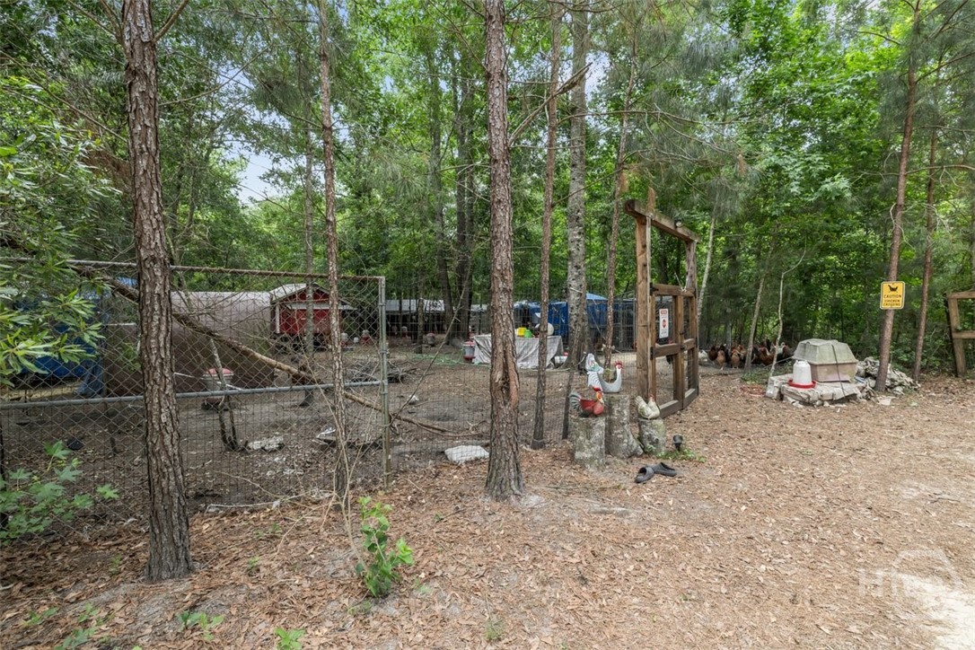 373 Chuck Ellis Road Portal, GA 30450 - Photo 36 of 67