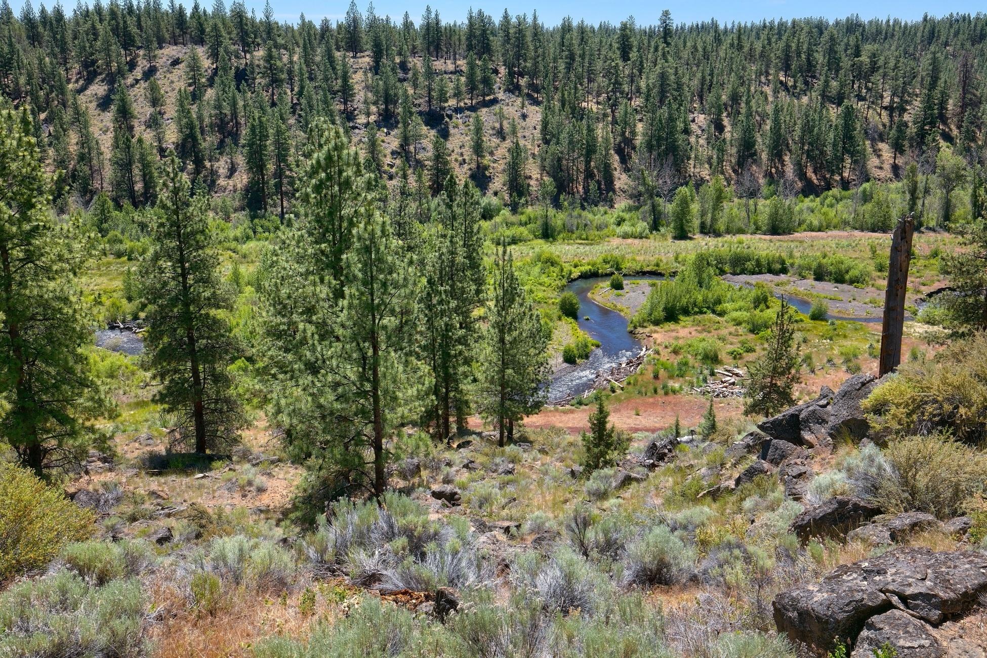 16585 Fair Mile Road Sisters, OR 97759 - Photo 41 of 51 batch_41 16585 Fairmile._022