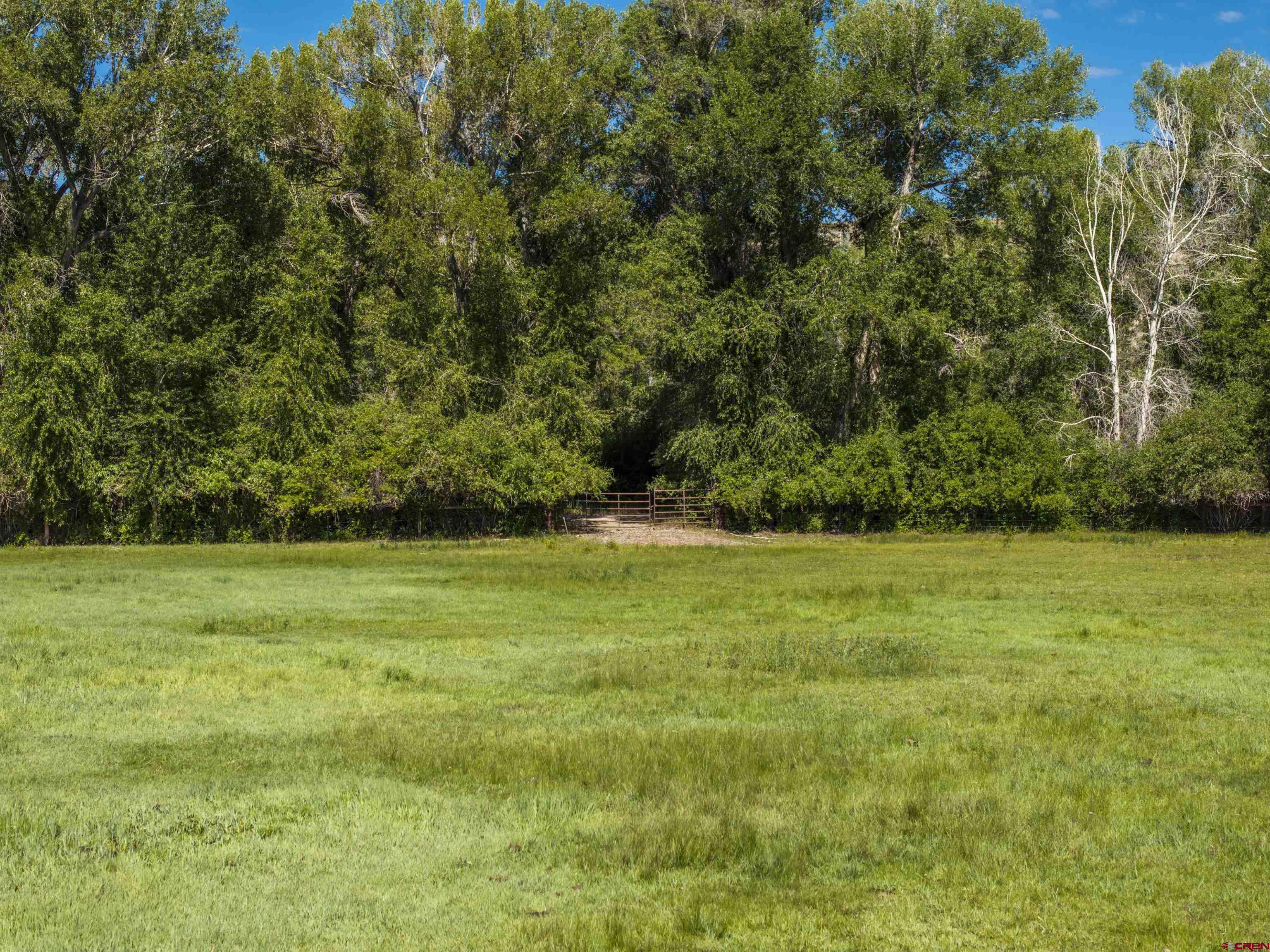 Rainbow Acres Lane Gunnison, CO 81230 - Photo 14 of 19 a view of an outdoor space and a yard