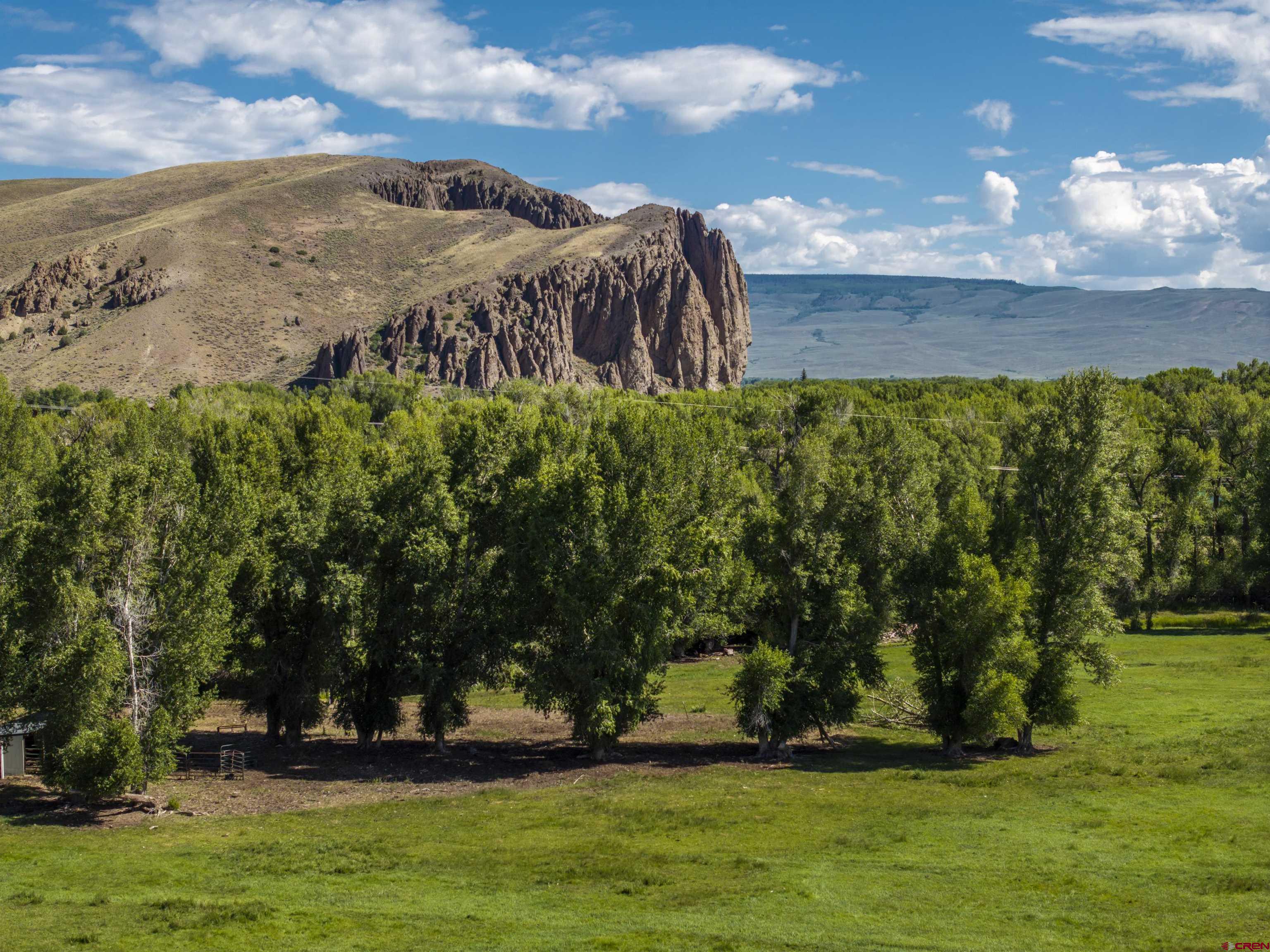 Rainbow Acres Lane Gunnison, CO 81230 - Photo 18 of 19 a view of a garden