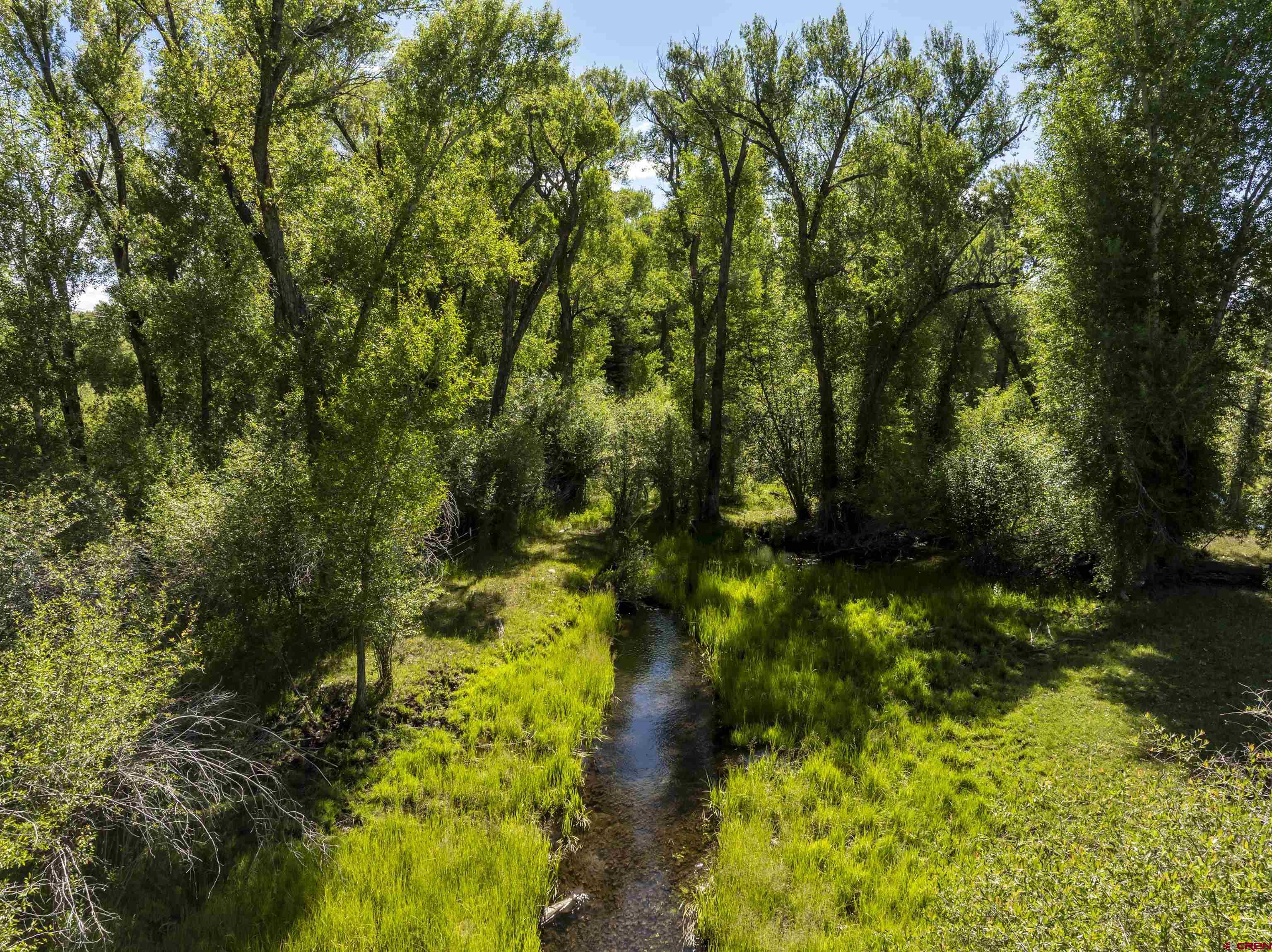 Rainbow Acres Lane Gunnison, CO 81230 - Photo 9 of 19 a view of a garden