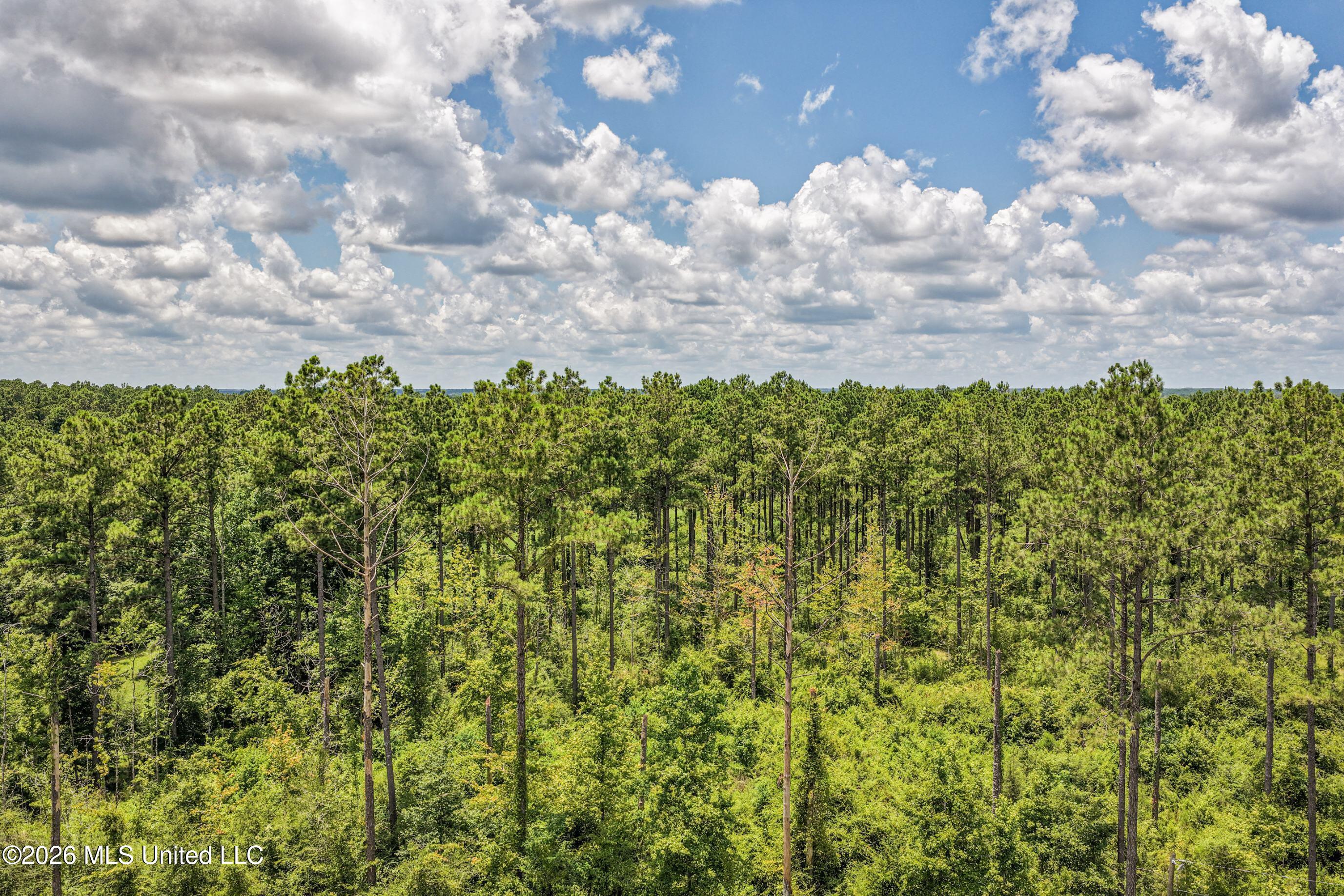 6929 Moak Road Summit, MS 39666 - Photo 14 of 52 DJI_20260708130807_0180_D
