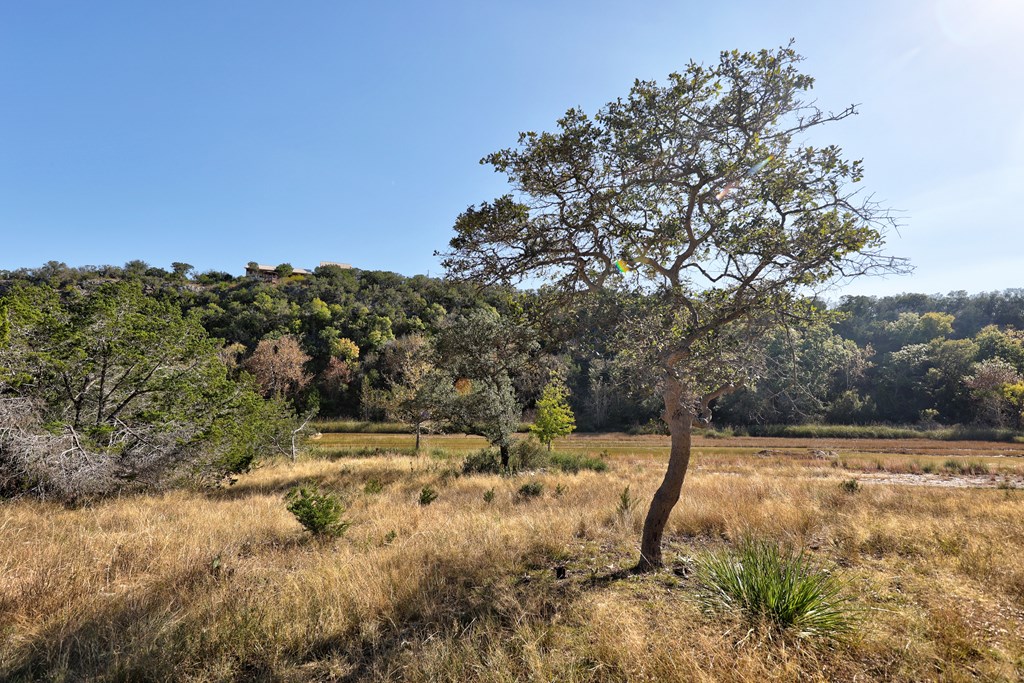 196 B Rock Bottom Road Hunt, TX 78024 - Photo 14 of 50