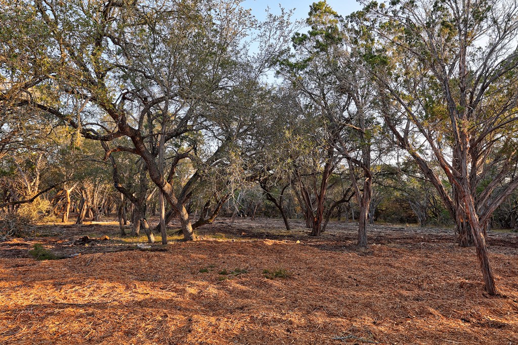 196 B Rock Bottom Road Hunt, TX 78024 - Photo 30 of 50