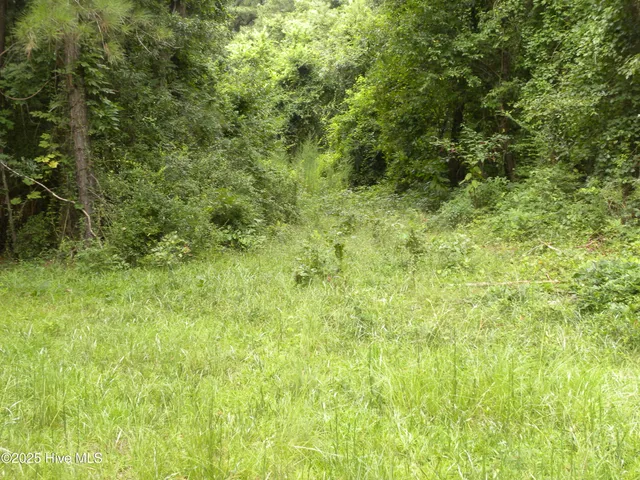 $48,500 | 600 Greenwood Boulevard, Princeville, NC 27886