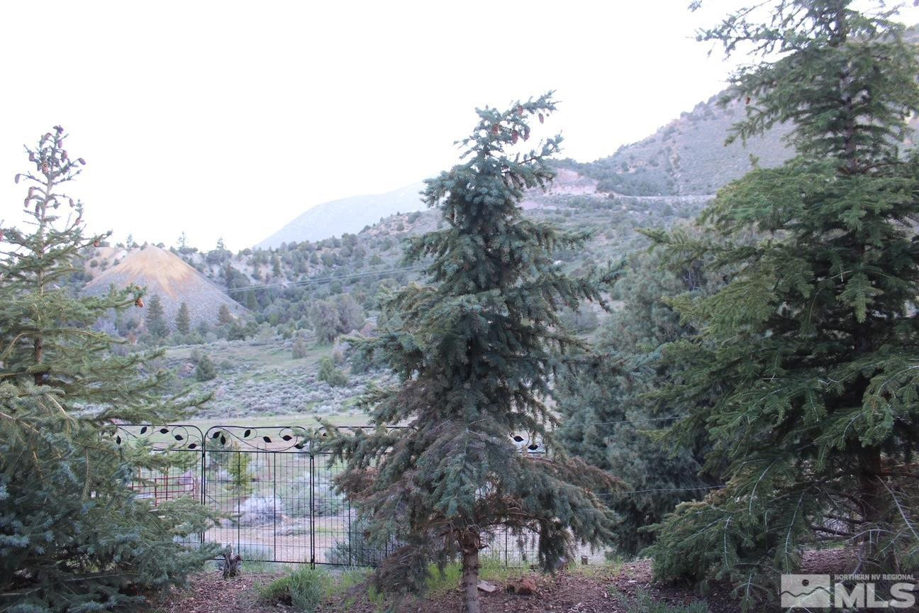 426 North Seven Mile Canyon Road Reno, NV 89521 - Photo 23 of 40 Photo 23
