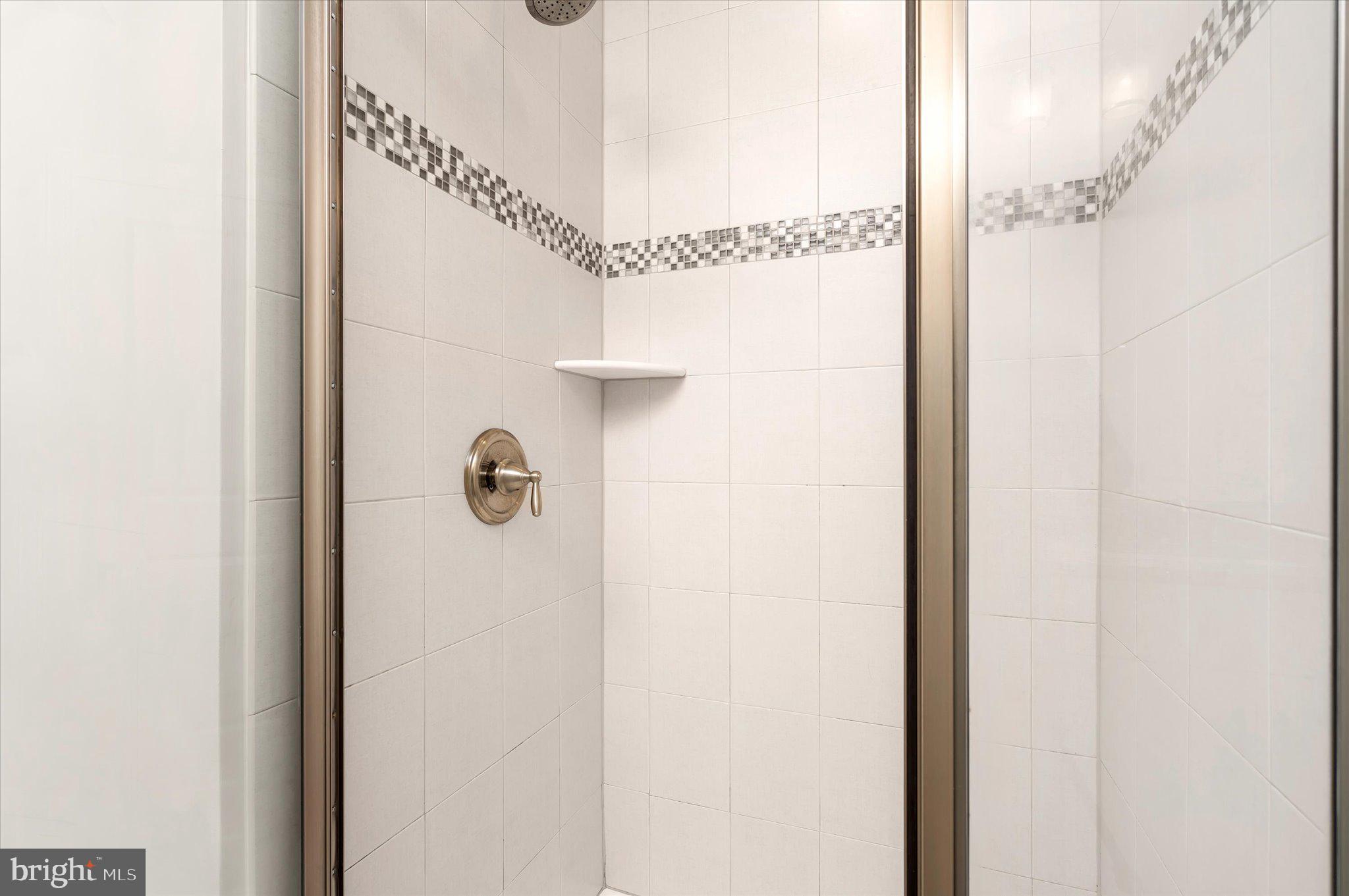 303 Witherspoon Street, Unit 2 Princeton, NJ 08542 - Photo 15 of 26 Main Bathroom Shower