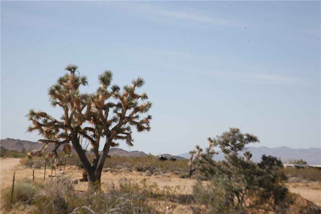 245-18-266 Alan Road Yucca, AZ 86438 - Photo 8 of 54