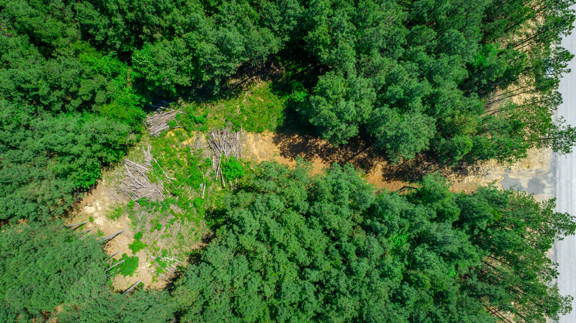 0 Split Rail Way, Unit LOT 1163 Guild, TN 37340 - Photo 74 of 118 River Gorge Lot 1163 HD-61