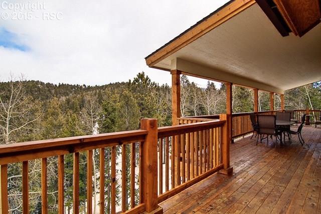 53 Haven Road Divide, CO 80814 - Photo 4 of 22