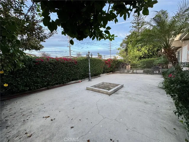 a view of a field with plants and trees