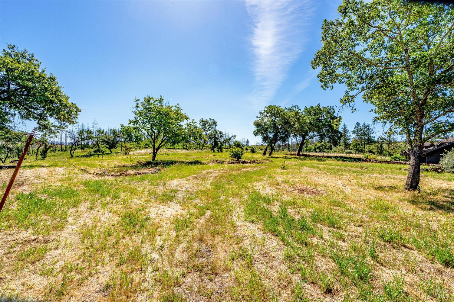 561 Mund Road St. Helena, CA 94574 - Photo 26 of 31