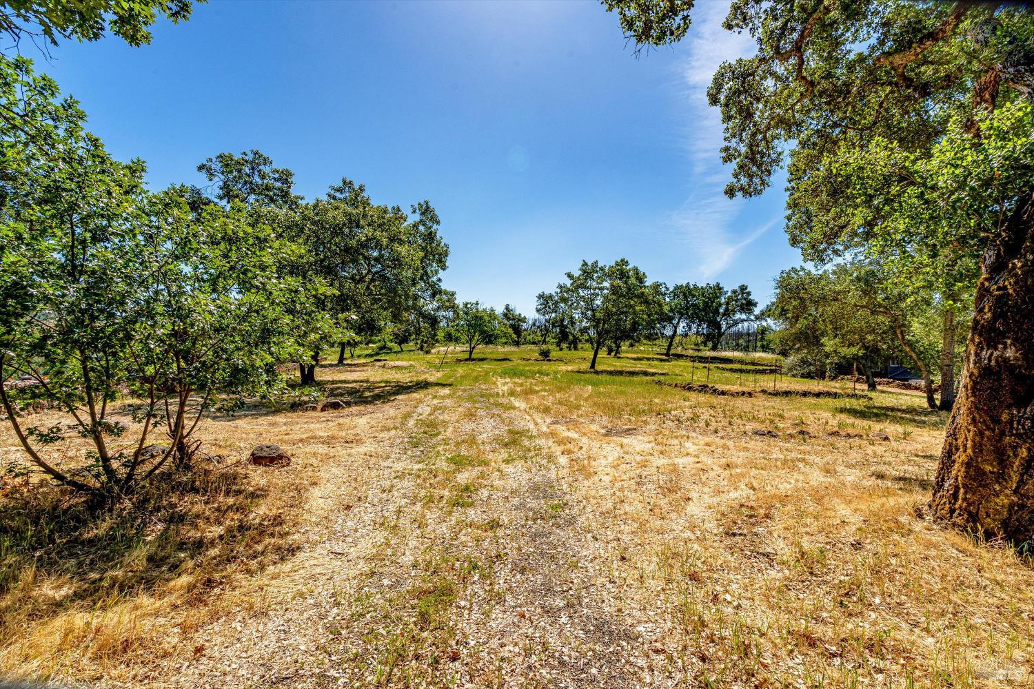 561 Mund Road St. Helena, CA 94574 - Photo 3 of 31