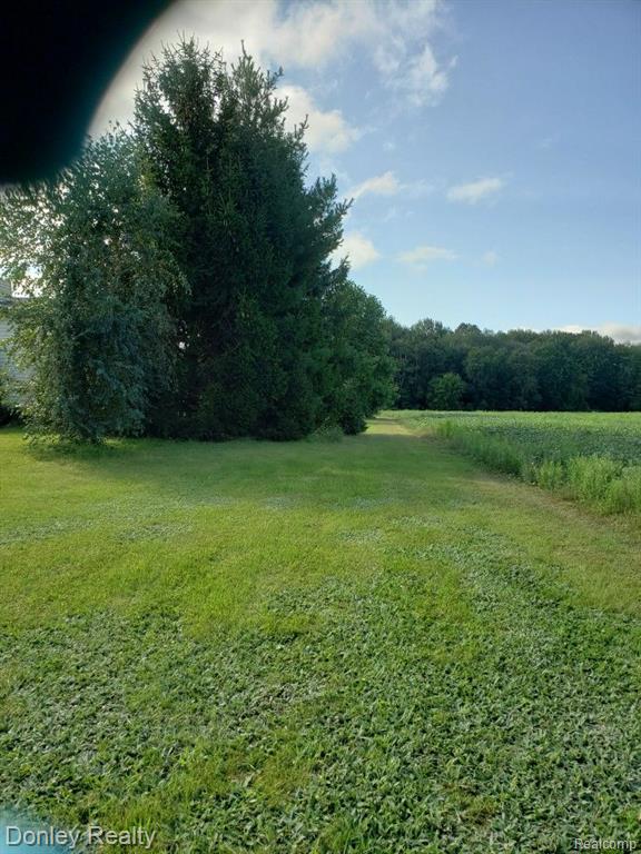 2650 Applegate Road Applegate, MI 48401 - Photo 73 of 76