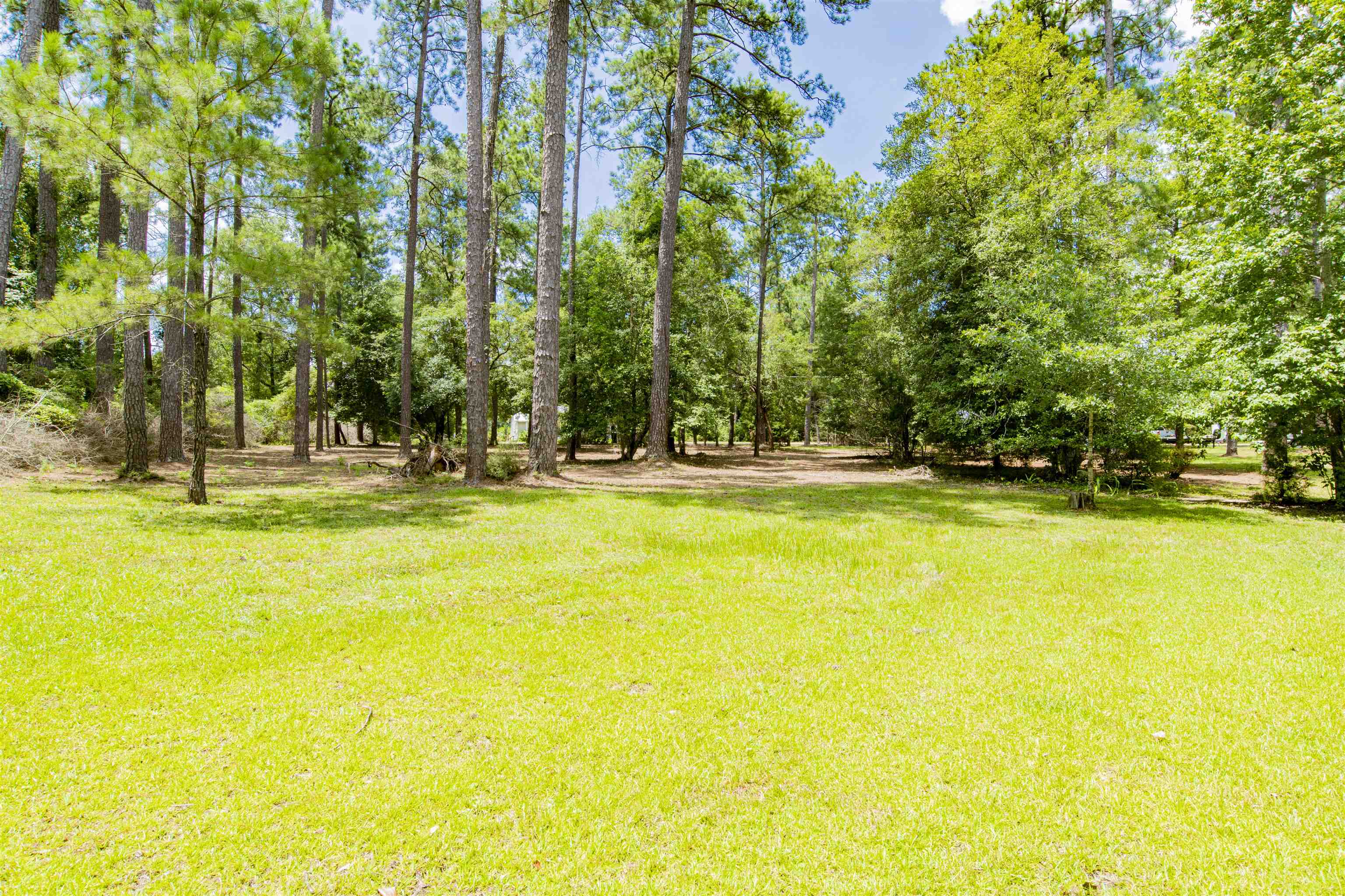 32191 Sibley Creek Road Daphne, AL 36527 - Photo 6 of 22
