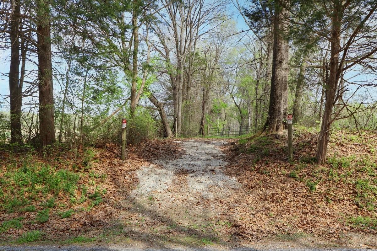 2715 Herrondale East Road Henry, TN 38231 - Photo 11 of 36 a view of outdoor space and trees