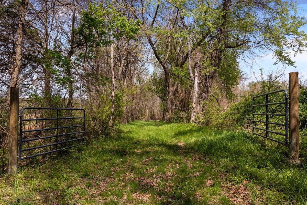 2715 Herrondale East Road Henry, TN 38231 - Photo 12 of 36 a view of backyard with wooden fence and large trees