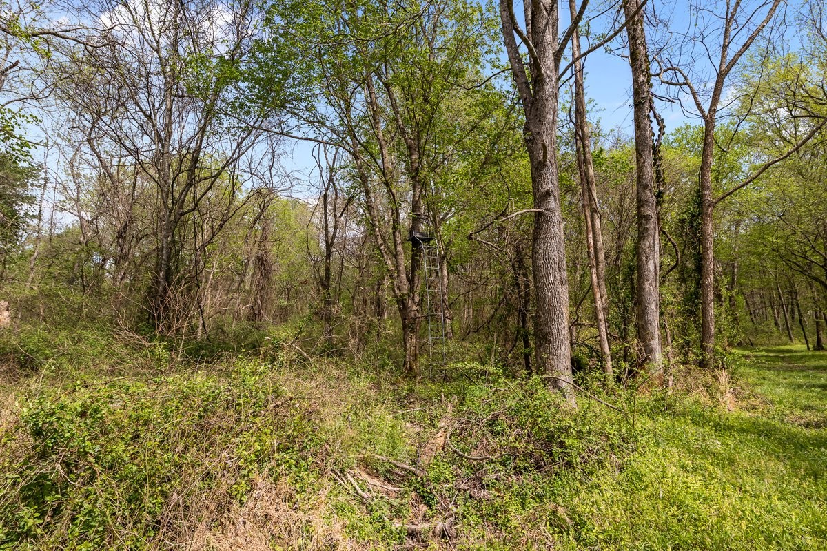 2715 Herrondale East Road Henry, TN 38231 - Photo 14 of 36 a view of under construction of a building