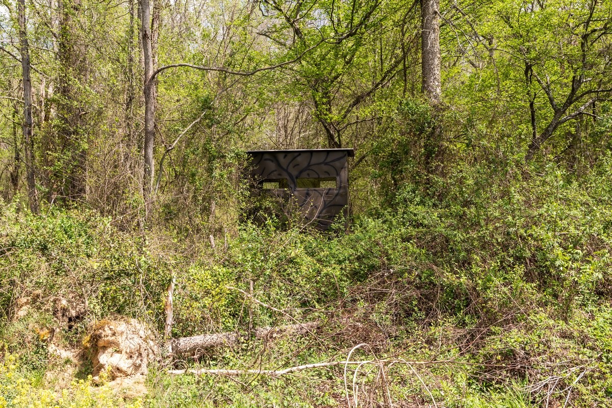 2715 Herrondale East Road Henry, TN 38231 - Photo 17 of 36