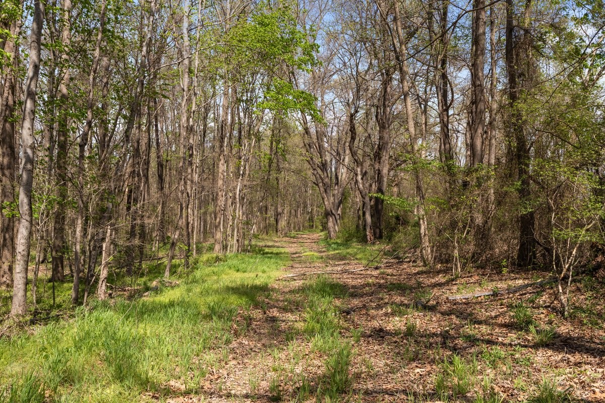 2715 Herrondale East Road Henry, TN 38231 - Photo 20 of 36 a view of backyard with green space
