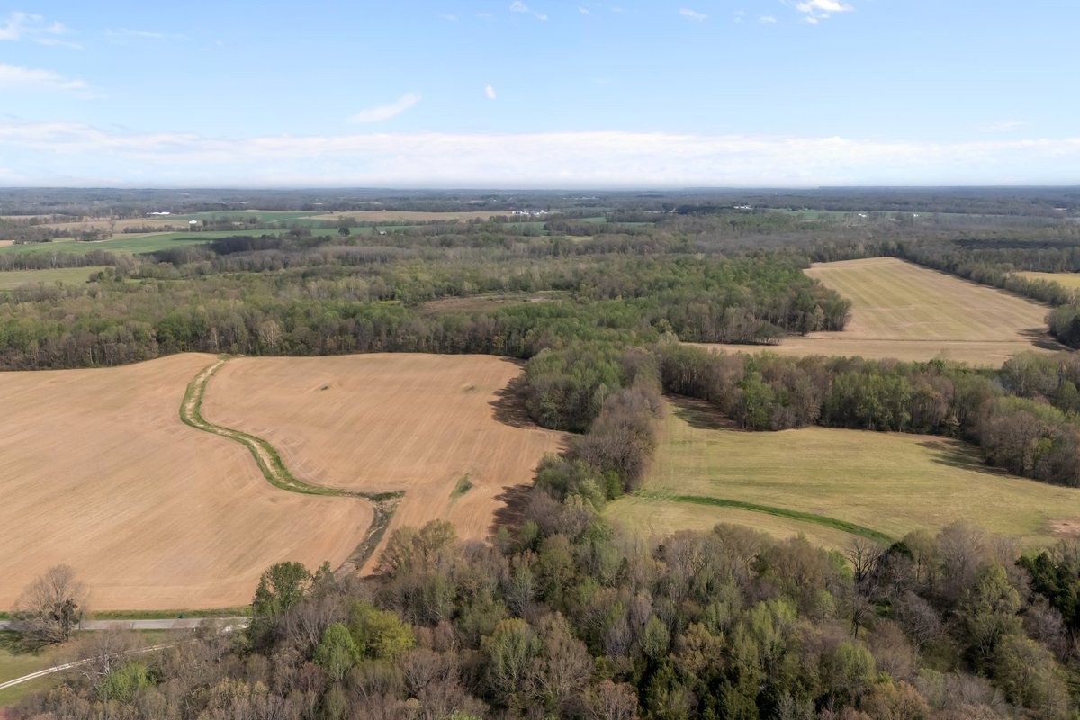 2715 Herrondale East Road Henry, TN 38231 - Photo 2 of 36 a view of terrace with city view
