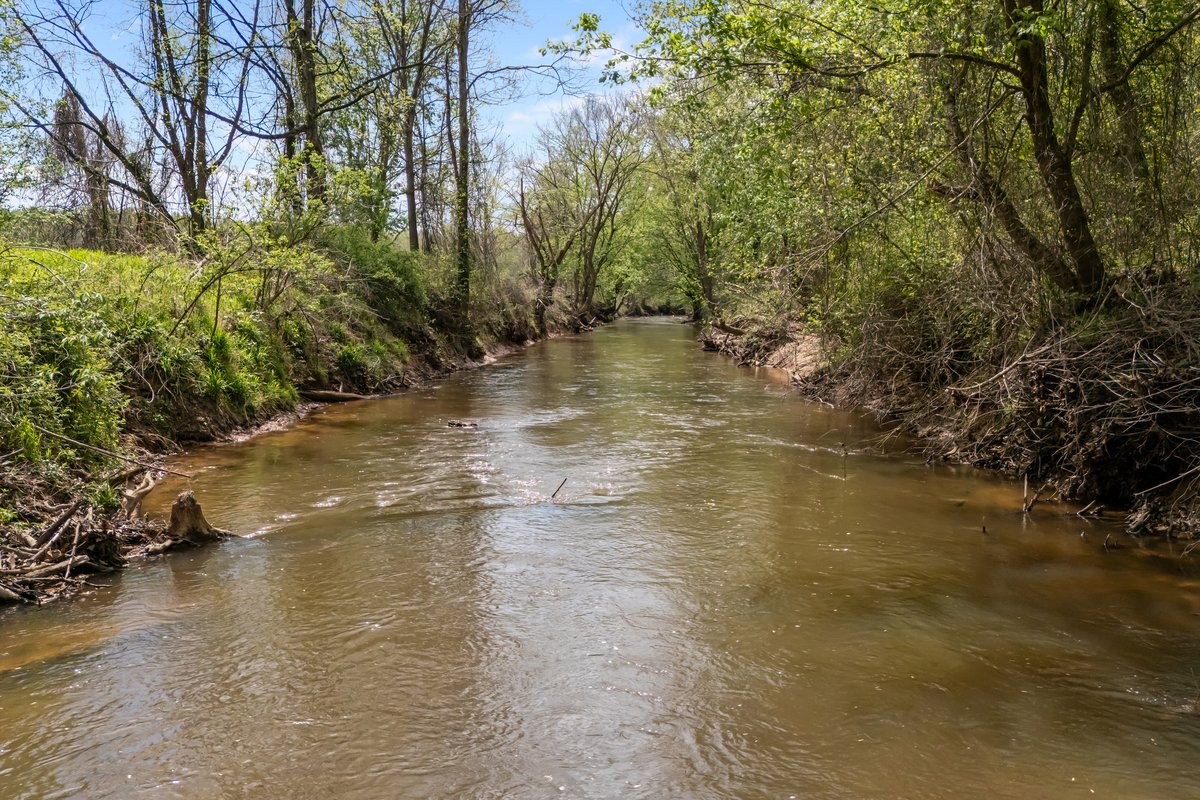 2715 Herrondale East Road Henry, TN 38231 - Photo 23 of 36 a view of water pond with green space