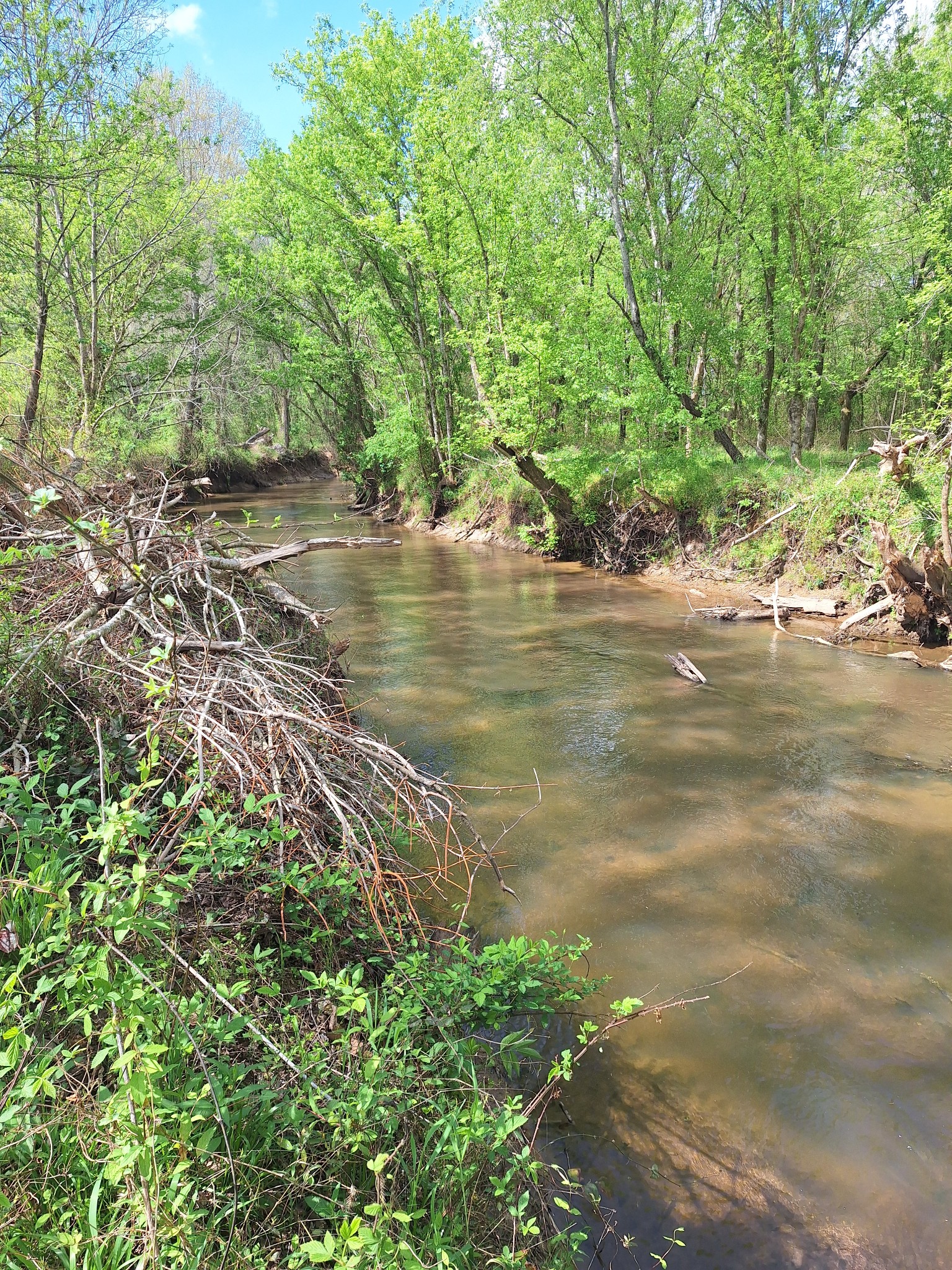 2715 Herrondale East Road Henry, TN 38231 - Photo 26 of 36 a view of a lake with lots of green space