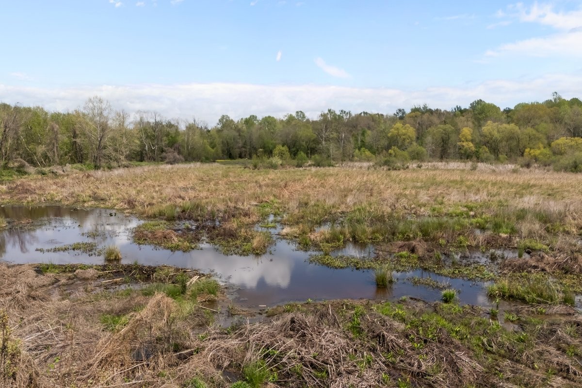 2715 Herrondale East Road Henry, TN 38231 - Photo 27 of 36 a view of a lake with houses in back