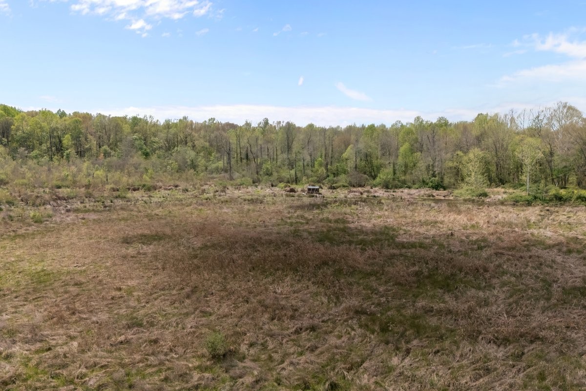 2715 Herrondale East Road Henry, TN 38231 - Photo 29 of 36 a view of an outdoor space with green field and trees