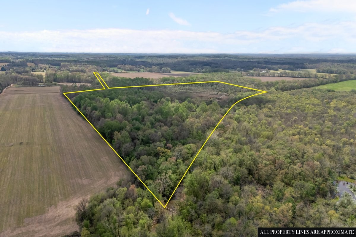 2715 Herrondale East Road Henry, TN 38231 - Photo 3 of 36 a view of a balcony with an outdoor space