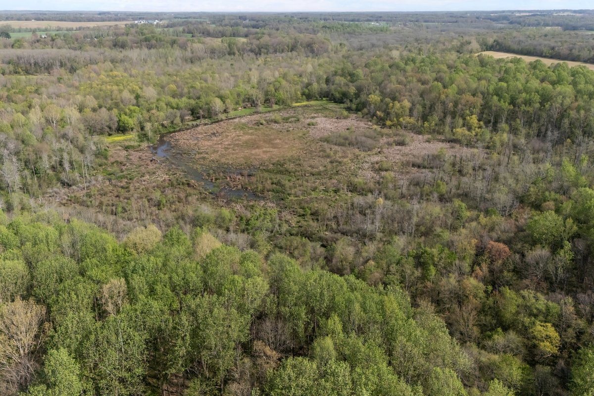 2715 Herrondale East Road Henry, TN 38231 - Photo 33 of 36 a view of a outdoor space with green field and trees