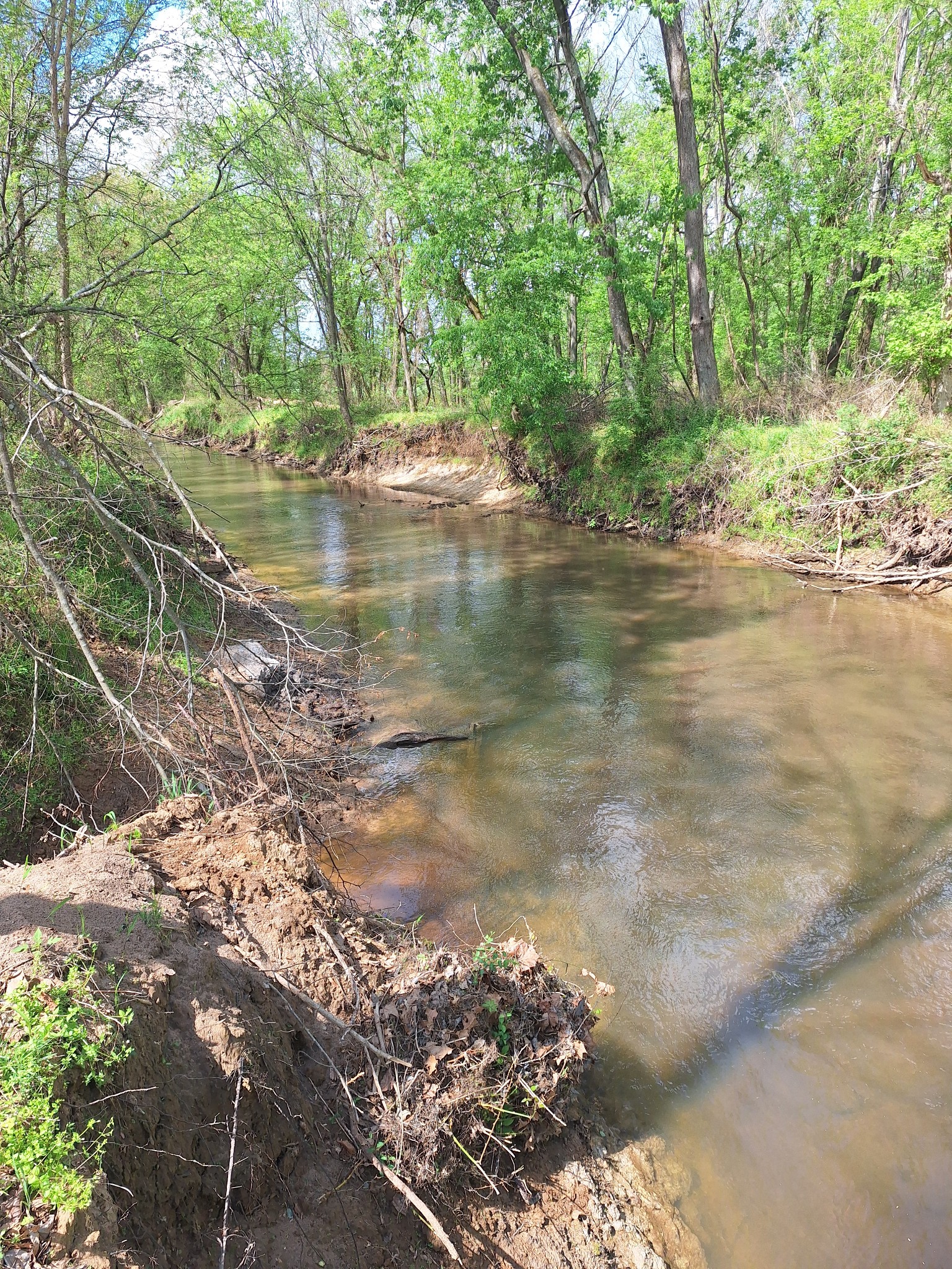 2715 Herrondale East Road Henry, TN 38231 - Photo 34 of 36 a view of water with a tree