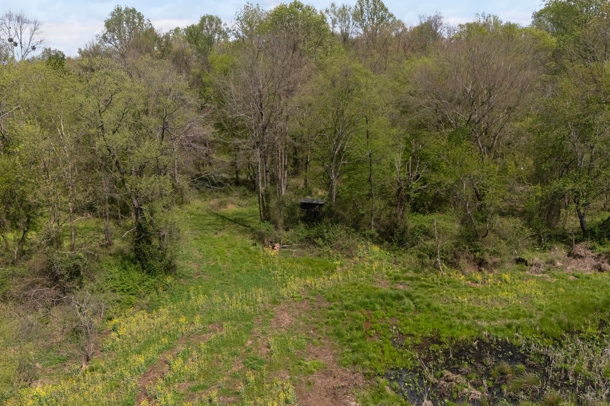 2715 Herrondale East Road Henry, TN 38231 - Photo 35 of 36 a view of a big yard with large trees