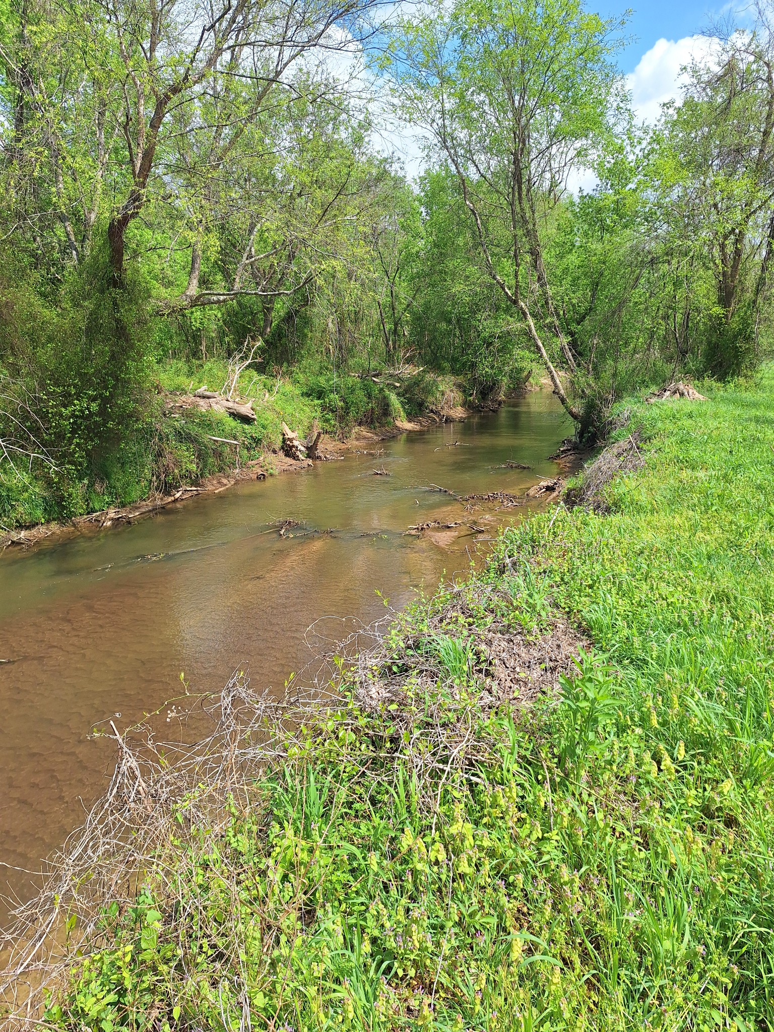2715 Herrondale East Road Henry, TN 38231 - Photo 36 of 36 a view of a lake with a yard