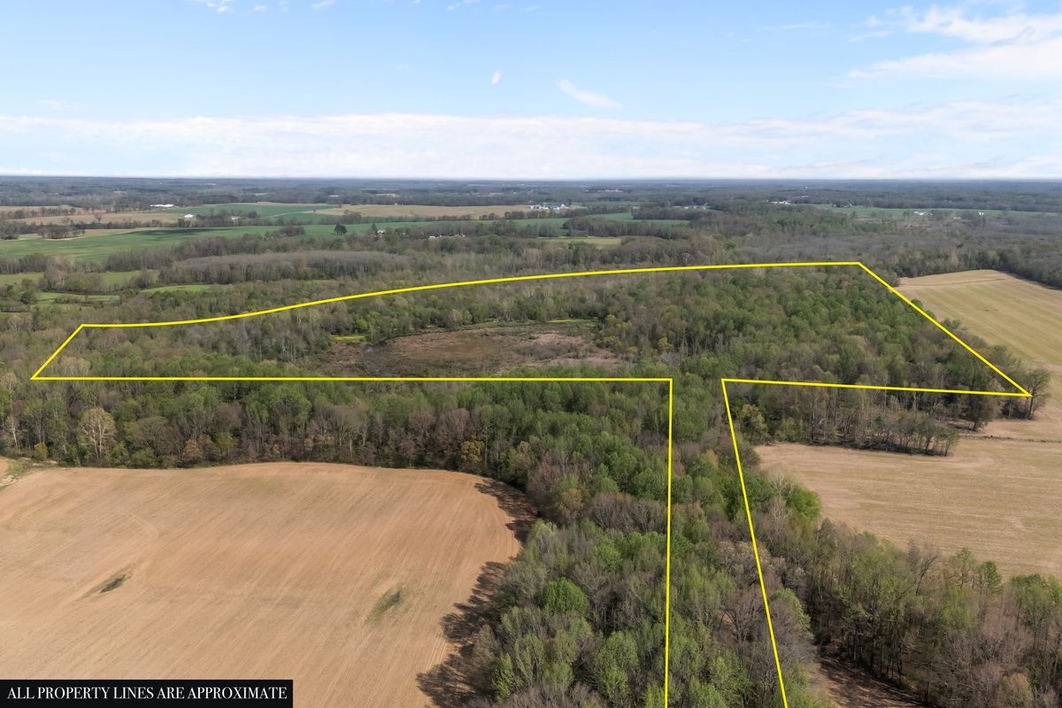 2715 Herrondale East Road Henry, TN 38231 - Photo 5 of 36 a view of a city