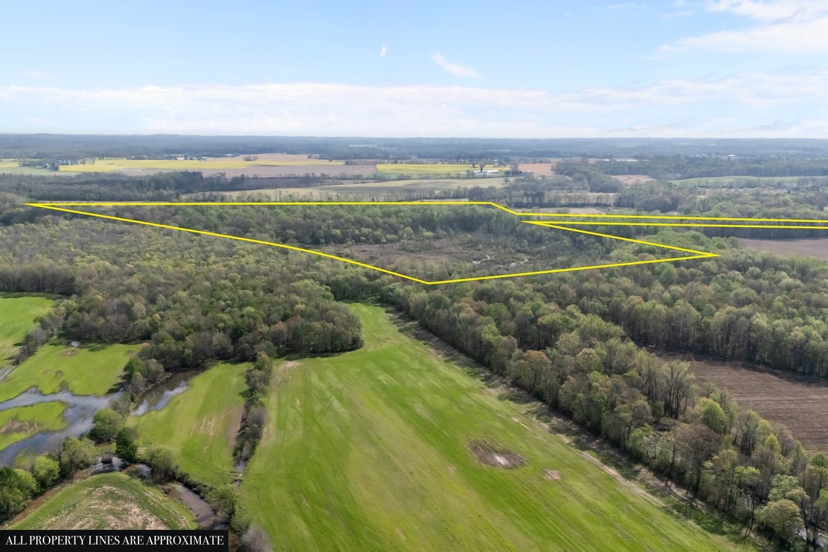 2715 Herrondale East Road Henry, TN 38231 - Photo 8 of 36 a view of an outdoor space and mountains