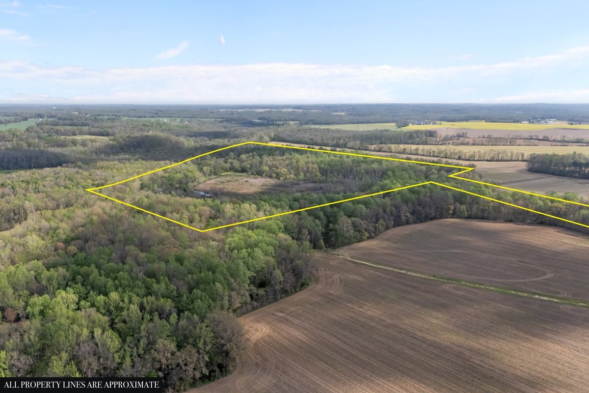 2715 Herrondale East Road Henry, TN 38231 - Photo 9 of 36 a view of a terrace with skyline