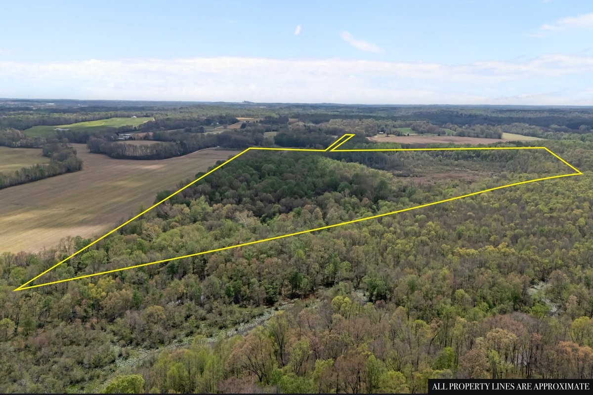 2715 Herrondale East Road Henry, TN 38231 - Photo 10 of 36 a view of an outdoor space and a yard