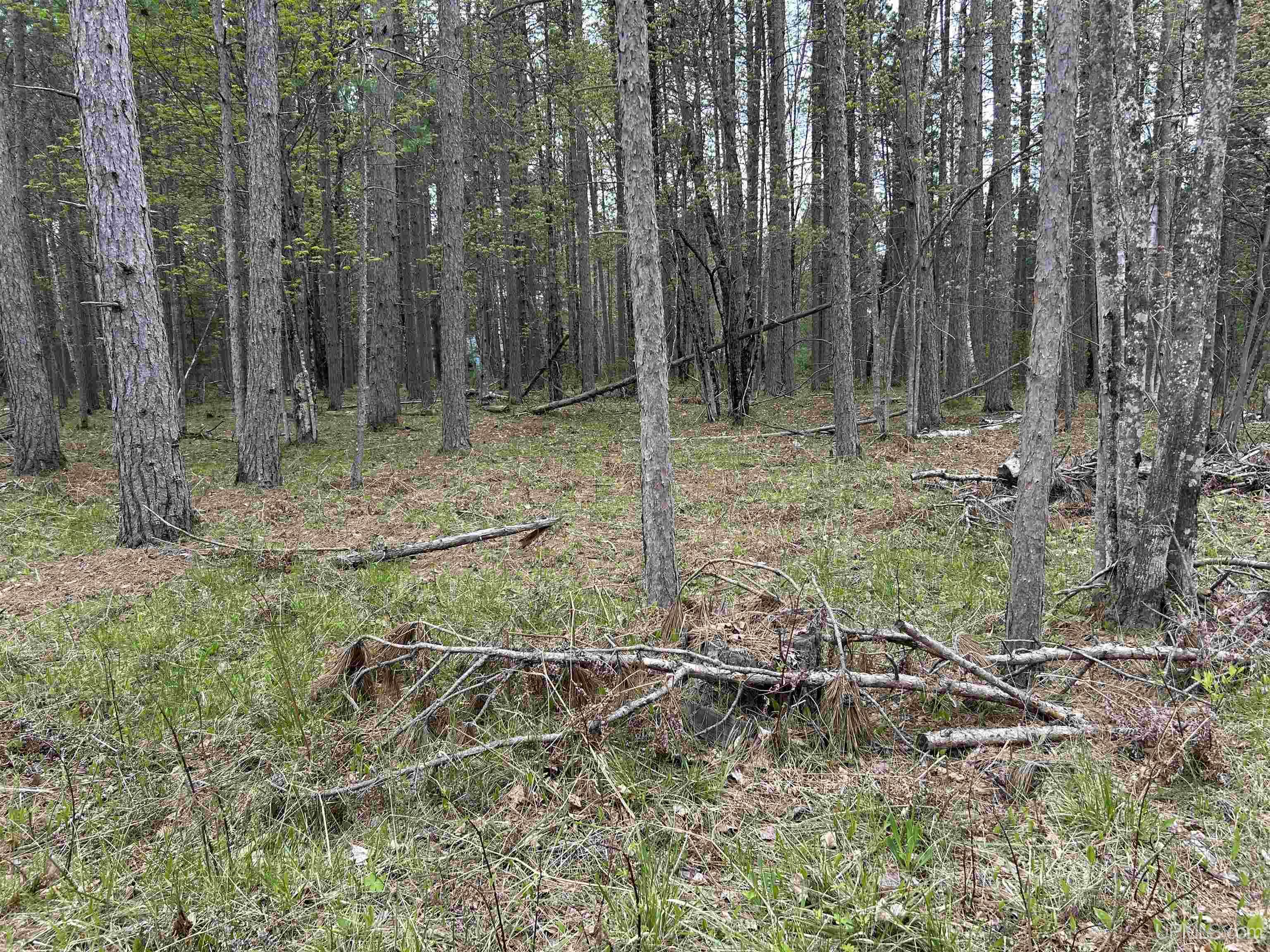 Tbd Parcel 2 Paint River Road Crystal Falls, MI 49920 - Photo 1 of 8