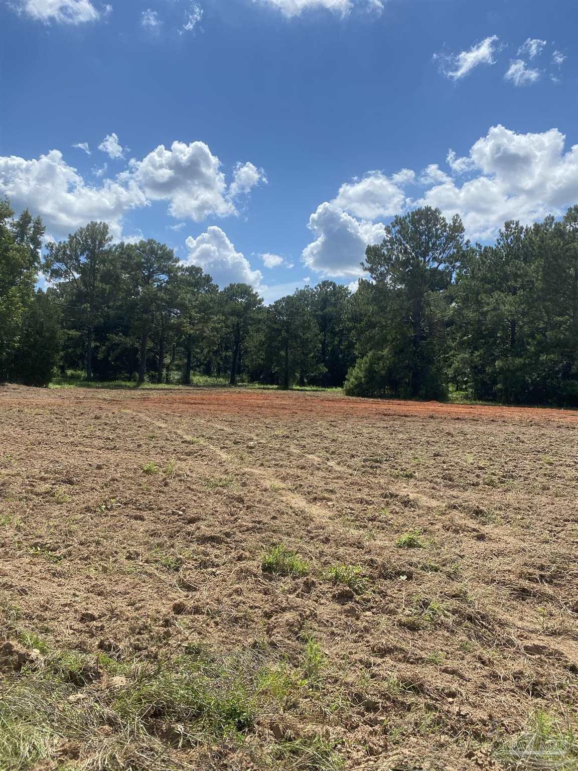 2 Woods Road Atmore, AL 36502 - Photo 4 of 17