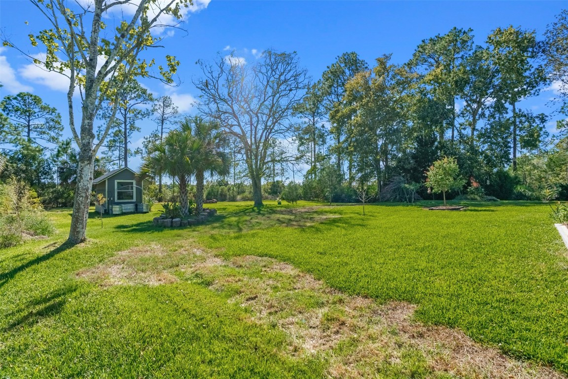 1250 Gum Leaf Road Jacksonville, FL 32226 - Photo 41 of 50 a view of a park with large trees