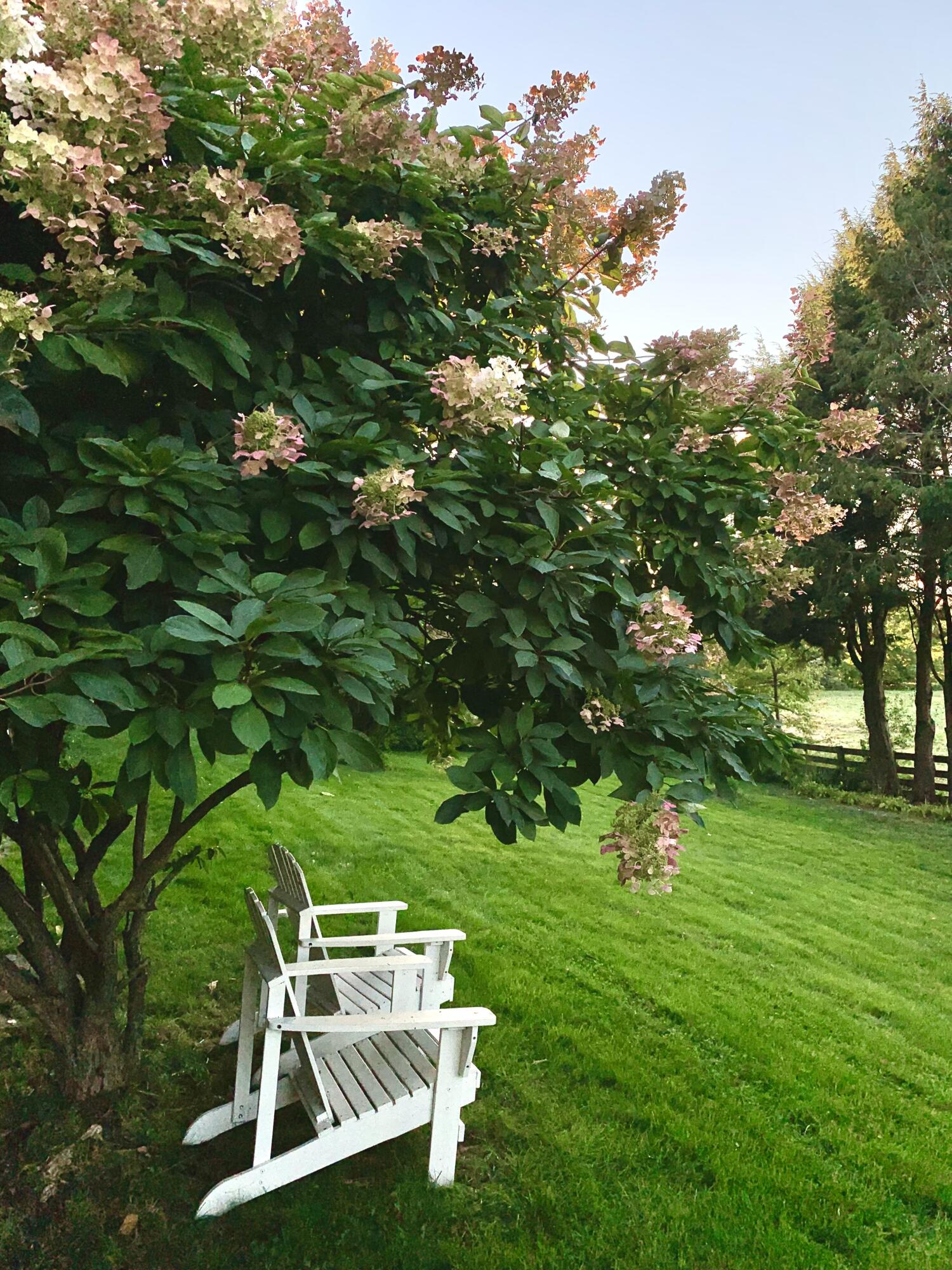 51 Flaggy Meadow Road Gorham, ME 04038 - Photo 49 of 51 Rear exterior (summer)