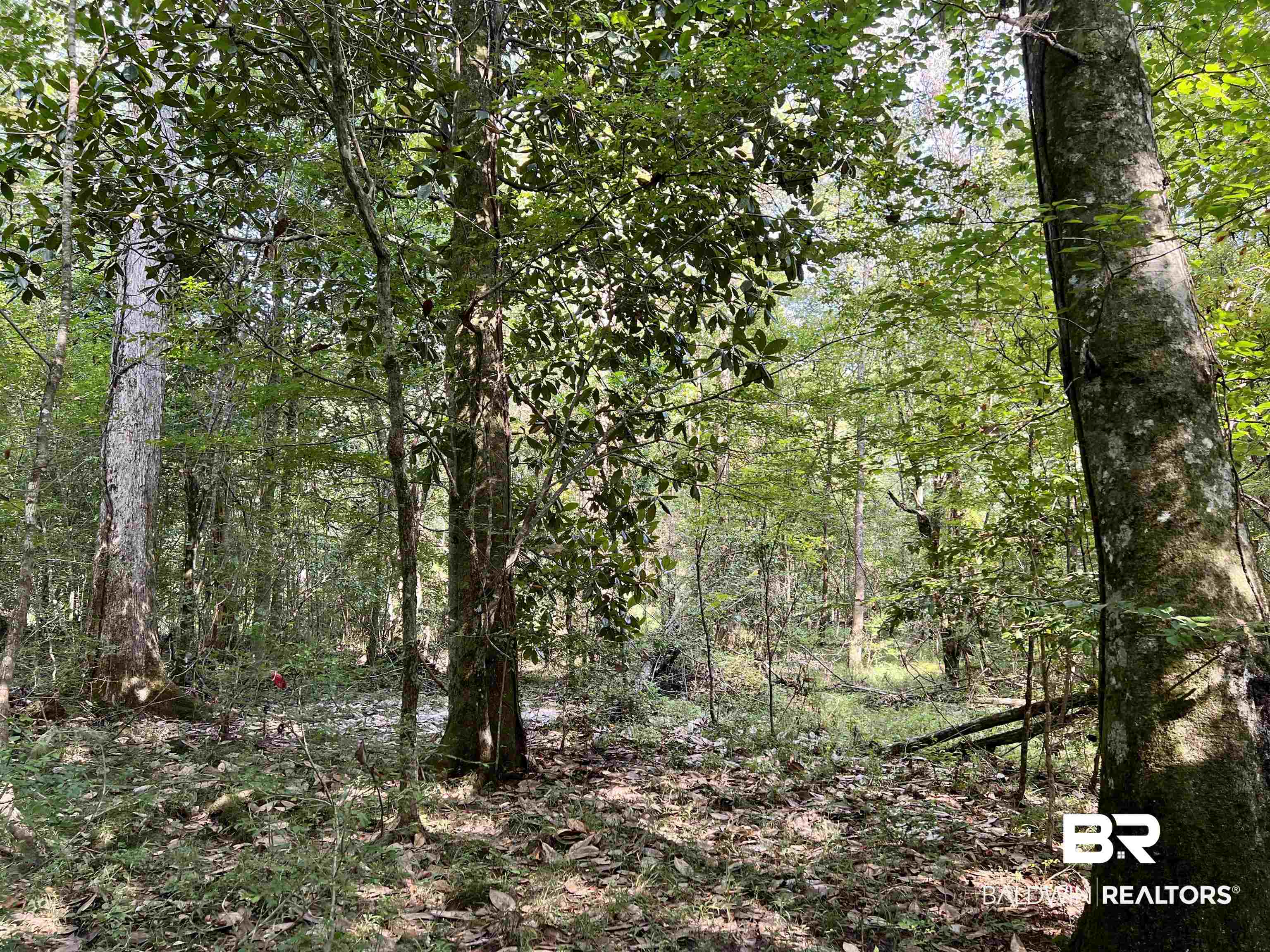 0 County Road 11 Repton, AL 36475 - Photo 17 of 34