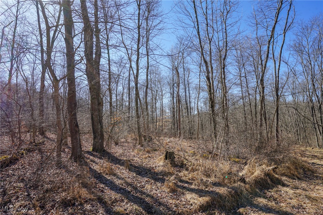Cooks Hill Road Glenford, OH 43739 - Photo 13 of 46 View of landscape featuring a forest view