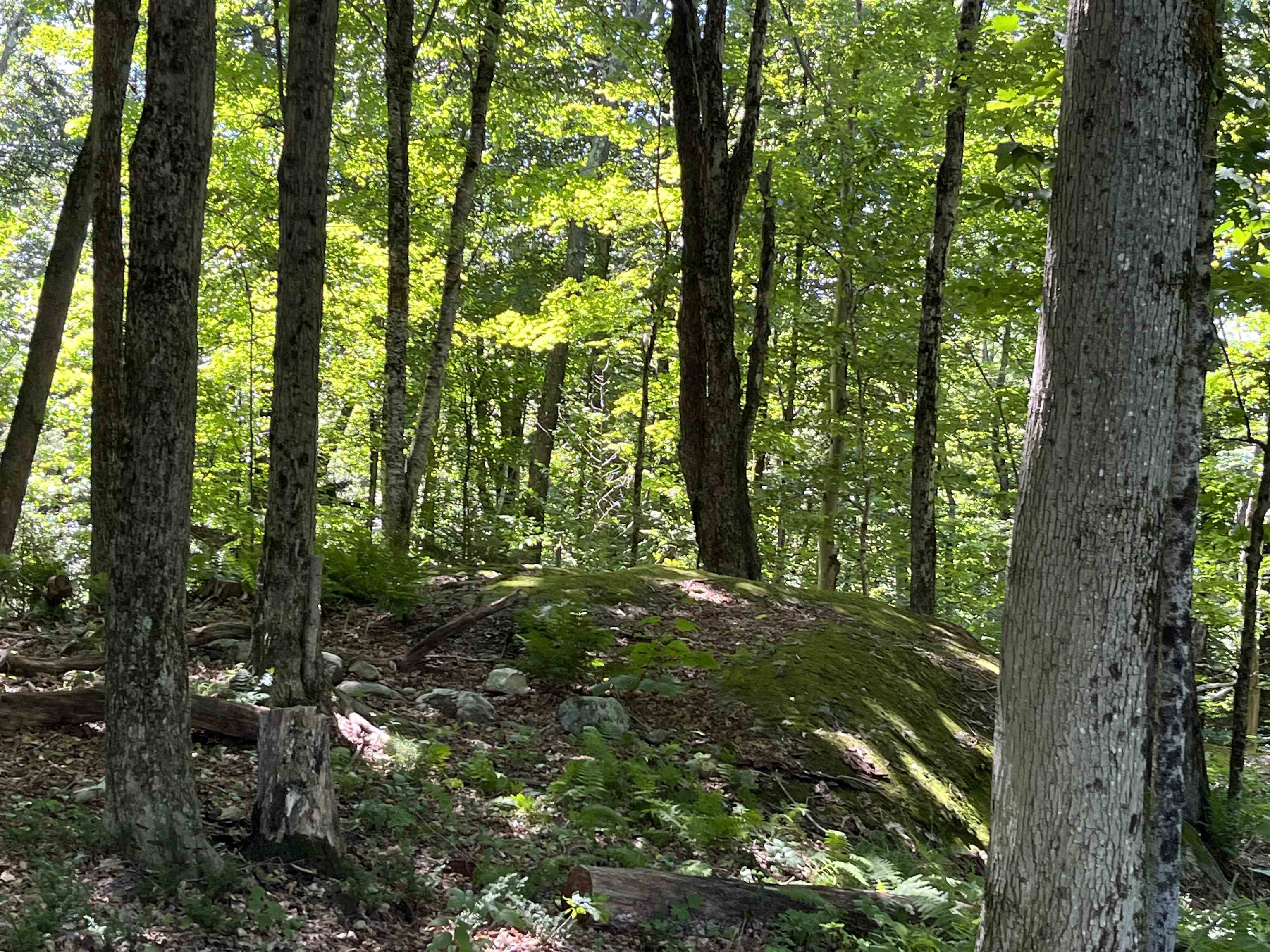 157 Minor Road Wilmington, VT 05363 - Photo 18 of 21