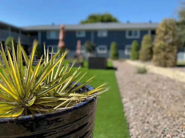 a view of a backyard